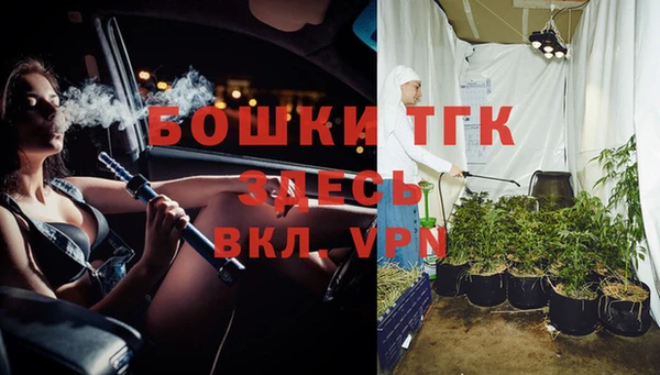 шишки Алзамай