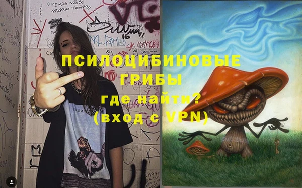 apvp Алексин