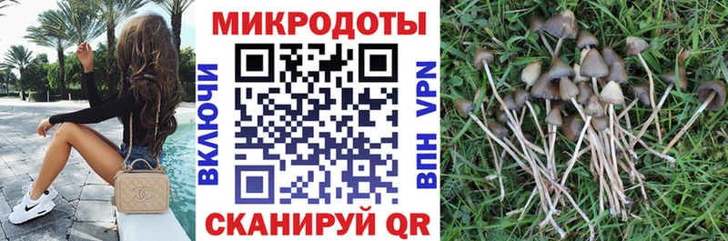 Псилоцибиновые грибы Magic Shrooms  Александровское 
